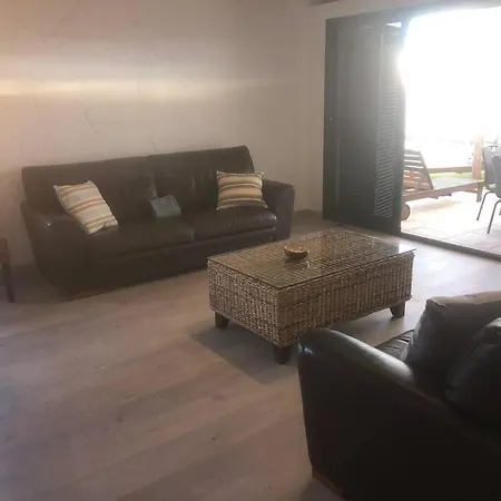 Casa Cardon19